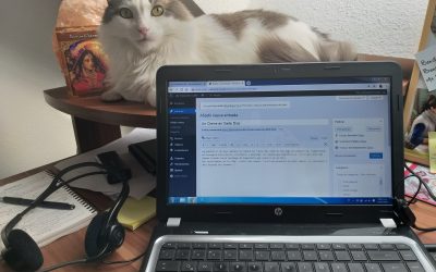 UN CIERRE EN SIETE DÍAS