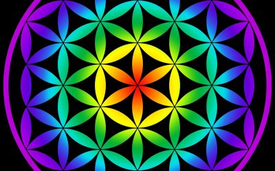 CREAR UN NUEVO UNIVERSO