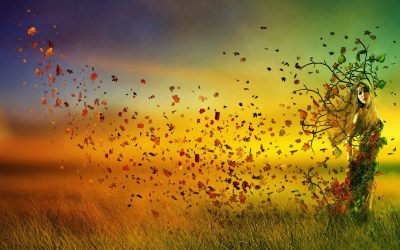 EQUINOCCIO DE OTOÑO